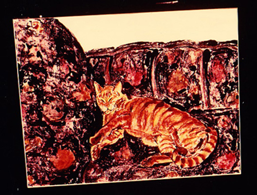 cat on couch cat on couch