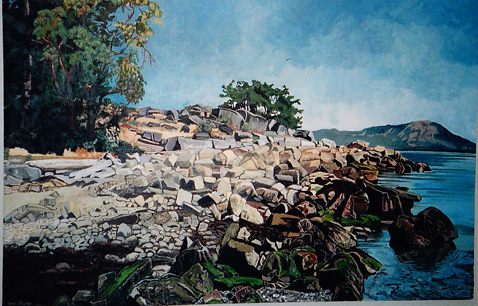 Tom's Hillside Tom's Hillside